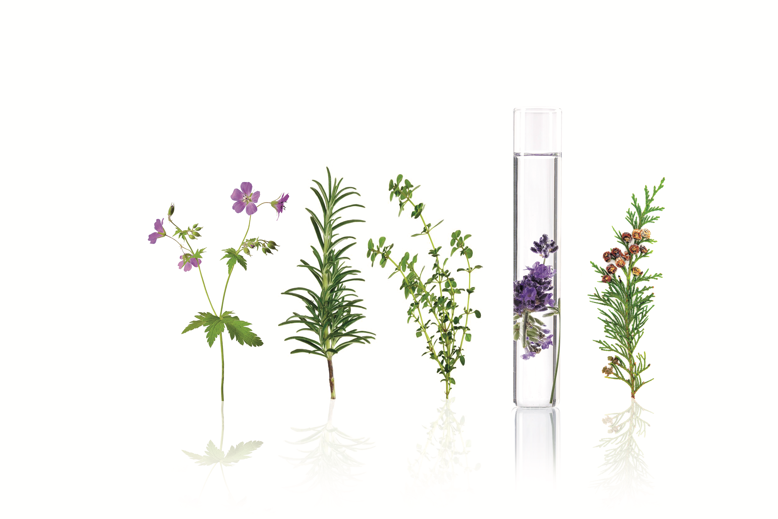 yonka-facials-natural-thereputic-massage-azure-beauty-gorey